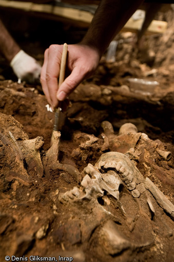 Crâne en cours de dégagement. Fouille dans la catacombe des saints Pierre et Marcellin à Rome, 2008.  Entre 2005 et 2008, un programme de fouilles a été engagé permettant la mise au jour d'un nombre considérable d'ossements humains sur une épaisseur de près d'un mètre dans un secteur encore inexploré de la catacombe, ici la tombe X84.