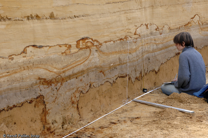 Relevé d'une coupe stratigraphique à Tourville-la-Rivière (Seine-Maritime), 2010.  La stratigraphie du site se compose de nappes d’alluvions qui se sont accumulées entre 350 000 et 130 000 ans avant notre ère. 