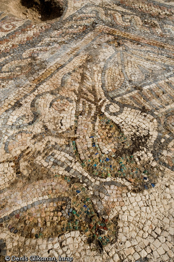 Mosaïque du Ve s. appartenant au groupe épiscopal paléochrétien, fouille de l'esplanade de la Major à Marseille, 2008.   Ce détail montre deux paons affrontés de part et d'autre d'une fleur. 