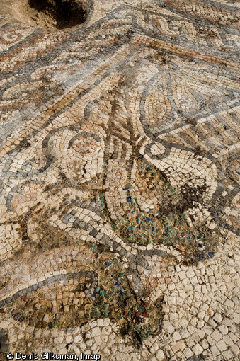 Mosaïque du Ve s. appartenant au groupe épiscopal paléochrétien, fouille de l'esplanade de la Major à Marseille, 2008. Ce détail montre deux paons affrontés de part et d'autre d'une fleur.