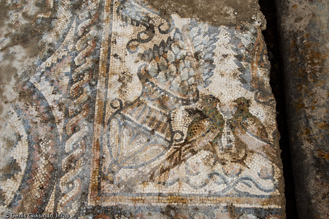 Mosaïque du Ve s. appartenant au groupe épiscopal paléochrétien, fouille de l'esplanade de la Major à Marseille, 2008.   Ici le centre du tapis mosaïqué figurant des cratères d'où s'échappent des bouquets.