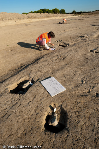 Enregistrement d'un ensemble de trous de poteaux lié à l'habitat protohistorique, VIe-Ve s. avant notre ère. Fouille du site de la Courgoulude à Lattes (Hérault), 2010.  Les vestiges, très denses, décrivent un habitat rural où les constructions sur poteaux côtoient des bâtiments semi-enterrés. 