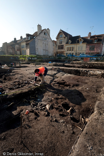 Dégagement de carcasses d’équidés (principalement des ânes) à l’intérieur du fossé du XIIe s., fouille du site de l'Hôtel du Département à Troyes (Aube), 2010. 