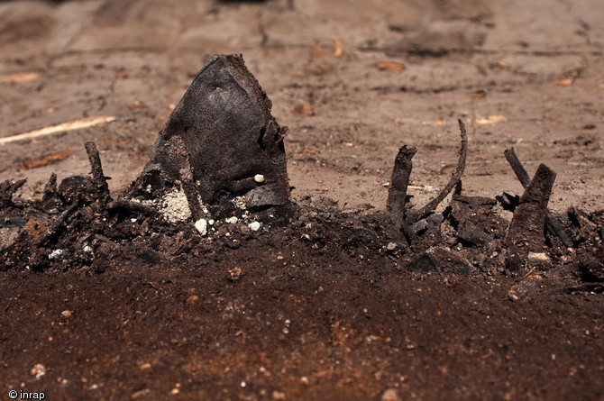 Chutes de découpes de cuirs (ici une pointe de semelle) jetées dans le fossé du XIIe s., fouille du site de l'Hôtel du Département à Troyes (Aube), 2010.  Ces déchets sont la marque d'une activité de tannerie, déjà en place sur le site à cette époque. 