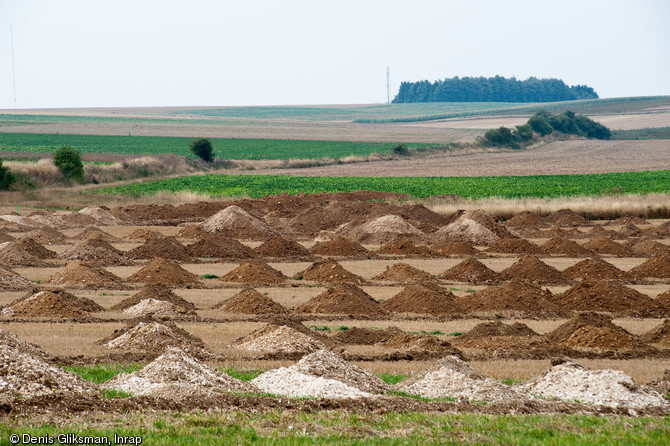 Diagnostic archéologique à Etricourt-Manancourt (Somme) sur le tracé du canal Seine-Nord Europe, 2009.