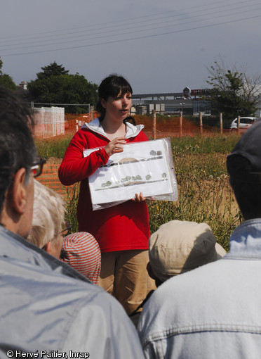 Près de trois mille visiteurs se sont succédé sur le site archéologique de Lannion lors de la journée portes ouvertes le 5 juin 2010.