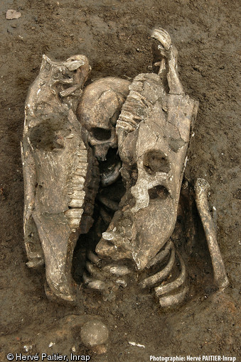 Crâne d'un individu adulte enserré par deux crânes de chevaux déposés tête-bêche, IIe-IIIe s. de notre ère, nécropole antique d’Évreux (Eure), 2007.  La pratique funéraire consistant à associer des éléments d'équidés et des squelettes humains en position souvent atypique était jusque là inconnue en Gaule romaine.   