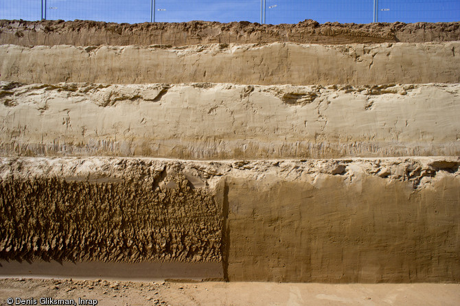Coupes stratigraphiques réalisées sur le site paléolithique d'Havrincourt (Pas-de-Calais), 2011.  Ces coupes ont permis d'étudier des séquences lœssiques de plus de 6 mètres de haut et constituent désormais un repère important dans l'étude de cette période géologique (le Pléniglaciaire moyen du Weichselien). 