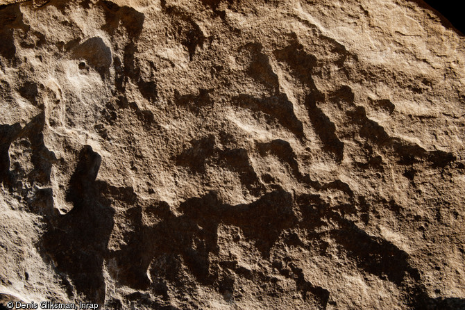 Vue de détail de la face piquetée du menhir en grès, Champagne-sur-Oise (Val-d'Oise), 2011. 