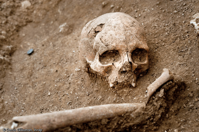Crâne et os long d'une sépulture de la nécropole du haut Moyen Âge d'Allonnes (Eure-et-Loir), VIe-Xe siècles, 2011.