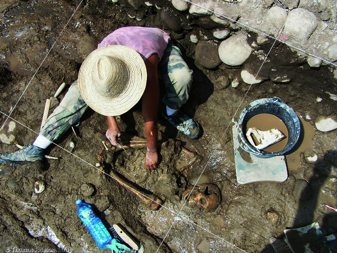 Fouille d'une sépulture amérindienne à Basse-Terre (Guadeloupe), 2007.  Le défunt est déposé sur le dos, les genoux sur les épaules : cette position forcée et des effets de contraintes trahissent la présence d'un contenant en matière périssable (hamac ou panier) aujourd'hui disparu.  Photo publiée dans le numéro 20 de la revue de l'Inrap Archéopages.