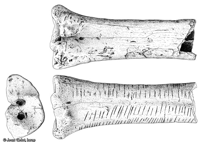 Dessin d'os d'aurochs (longueur conservé : 15,5cm) portant des séries d'incision, Mésolithique, Choisey et Damparis (Jura), 2004.  L'aurochs ne représente que 0,8% des restes fauniques déterminés de l'habitat proche. Si cet os traduit une forme de statut particulier donné à cette espèce, on peut voir dans ces stries l'expression de sa rareté et/ou du caractère très risqué de sa chasse : les stries seraient alors des marques d'appartenance à un chasseur émérite.  Dessin publié dans le numéro 21 de la revue de l'Inrap <a class= rte