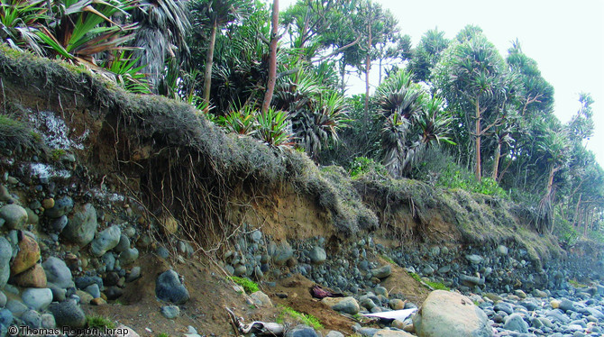 Vue du front d'érosion au Champ-Borne à Saint-André (La Réunion) avant l'opération archéologique de 2008.  Suite au passage du cyclone Gamède en février 2008, les bords de mer ont subi une érosion rapide, touchant ainsi plusieurs sites archéologiques.   Photo publiée dans le numéro 24 de la revue de l'Inrap Archéopages.