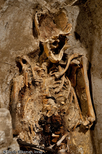 Détail d'une sépulture médiévale mise au jour dans la partie ouest du chœur, église Saint-Pierre et Saint-Paul à Gonesse (Val-d'Oise), 2011.  Le bon niveau de conservation des ossements permettra d'apporter quelques renseignements sur l'état sanitaire de la population gonessienne. 