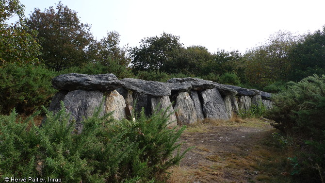 A Saint Just en Ille et Vilaine l'allée couverte de Tréal, sépulture à entrée latérale caractérise la fin du néolithique.