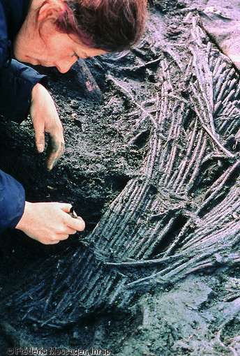 Nasse en vannerie d'osier en cours de dégagement, seconde moitié du XIe s., Pineuilh (Gironde), 2002-2003.  Outils et récipients en vannerie ont été conservés grâce au contexte humide du site, implanté dans un fonds de vallée alluviale.  Photo publiée dans l'ouvrage Archéologie médiévale en France - Le premier Moyen Âge, Isabelle Catteddu, coll. Archéologies de la France. 