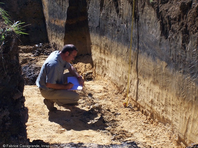 Relevé d'une coupe réalisée dans un ancien bras de rivière colmaté vers - 10 000, Bergerac (Dordogne), 2006.Sur la partie basse de la coupe, on observe les traces du bras de rivière disparu et dans la partie haute, sa transformation en un marécage riche en matières organiques.    Photo publiée dans l'ouvrage La France racontée par les archéologues, par C. Marcigny et D. Bétard, coédition Gallimard - Inrap. 