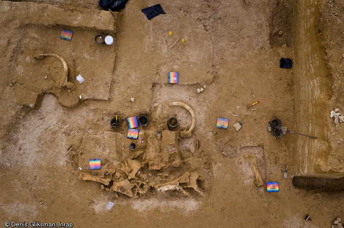 Vue zénithale du squelette de mammouth en cours de fouille à Changis-sur-Marne (Seine-et-Marne), 2012.L'animal aurait vécu entre 200 000 et 50 000 ans avant notre ère.   