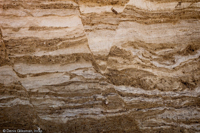 Détail de la stratigraphie du site du Chemin de la fosse de la Haie à Changis-sur-Marne, 2012.Différents dépôts de sables de la Marne déformés par le gel sont observables.