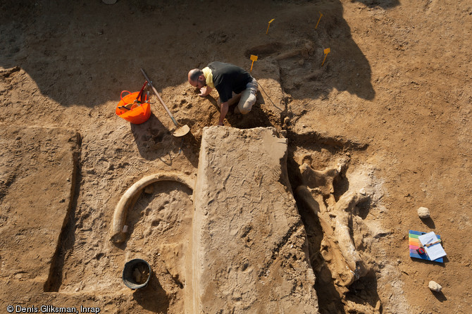 Réalisation et relevé d'une coupe stratigraphique à proximité des ossements du mammouth, Changis-sur-Marne (Seine-et-Marne), 2012.