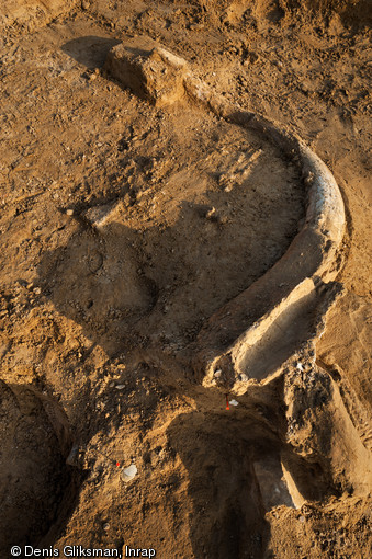 Détail du fragment du crâne du mammouth avec des vestiges lithiques, Changis-sur-Marne (Seine-et-Marne), 2012.La découverte d'éclats de silex en relation directe avec l'animal montre l'intervention de l'homme sur la carcasse.
