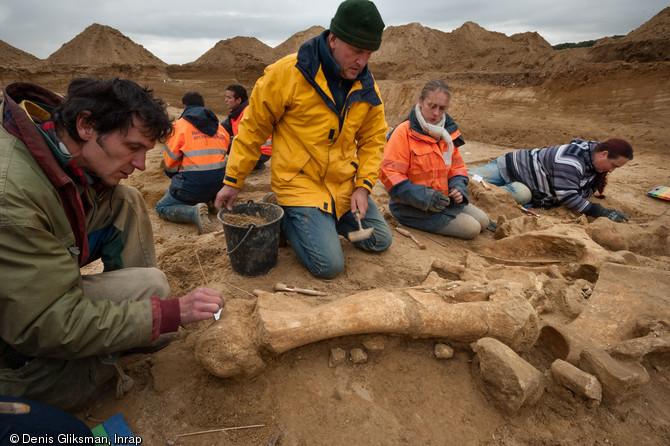 Dégagement des ossements autour de l'humérus du mammouth, Changis-sur-Marne (Seine-et-Marne), 2012.