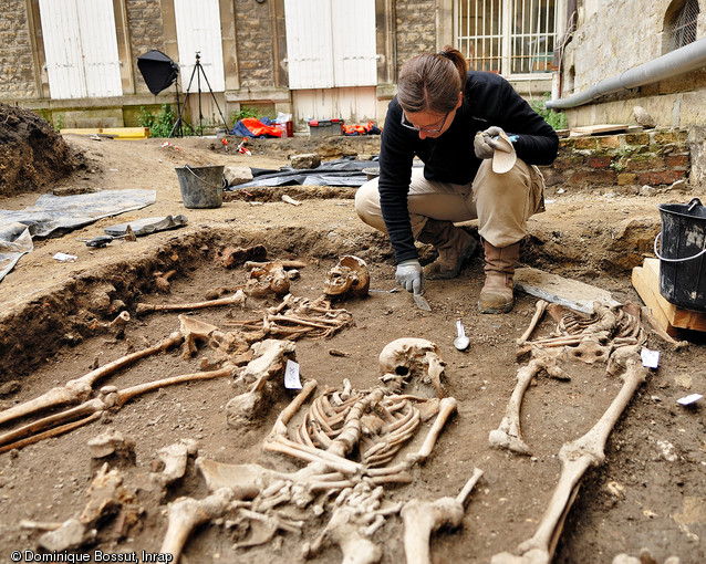 Fouille du cimetière paroissial médiéval et moderne dans le jardin du presbytère de la basilique Notre-Dame de Boulogne-sur-Mer (Pas-de-Calais), 2012.