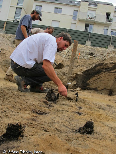 Pieux préservés de l'embarcadère du Haut-Empire en cours de dégagement, Tours (Indre-et-Loire), 2010.  