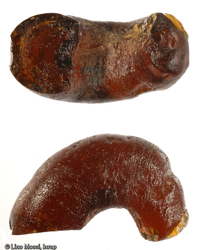 Perle d'ambre découverte sur le site aristocratique de Bassing (Moselle) en 2010.D'autres bijoux, comme des bracelets en pâte de verre bleu de cobalt, témoignent de la richesse de l'établissement.