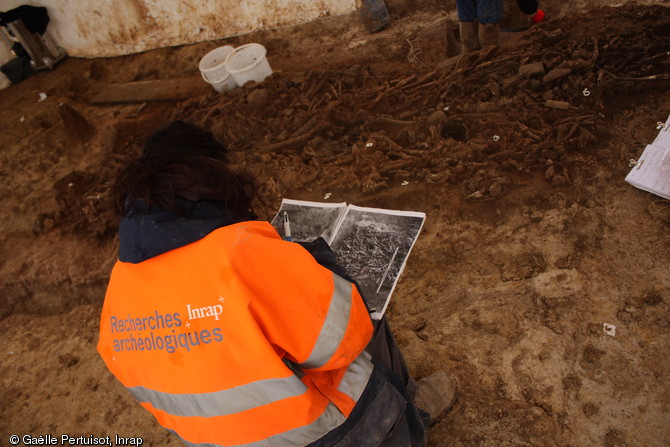Identification des ossements afin de comprendre l'organisation générale de la sépulture fouillée à Buchères (Aube), 2012.