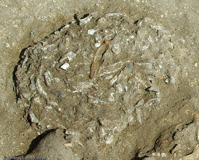 Incinération mise au jour dans la nécropole d'Attichy (Oise), IIIe s. avant notre ère, 2009.Les restes du défunt incinéré reposaient vraisemblablement dans un sac fermé par une fibule en fer, visible au centre de la photo.
