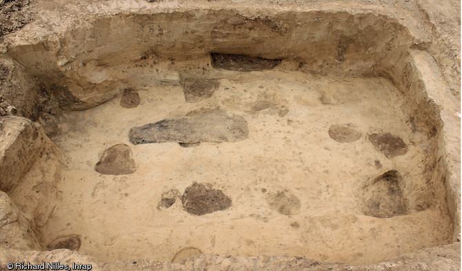 Cave médiévale, Xe-XIe s., mise au jour à Pfulgriesheim (Bas-Rhin) en 2010.Certaines excavations correspondent à des trous de poteaux qui soutenaient un plancher. Dans la paroi, en arrière-plan, se distingue une niche interprétée comme l'emplacement de l'échelle d'accès à la cave.