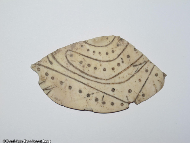 Plaquette en coquille gravée de motifs curvilignes à ponctuations (longueur 76 mm), village précolombien de Pointe du Canonnier (Saint-Martin), VIIe-Xe s., 2012.