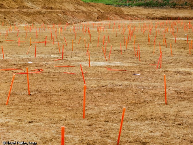 Les piquets orange délimitent les empreintes laissées par le comblement des anciennes mines d'extraction du minerai de fer sur le site des Rochardières à La Milesse (Sarthe), 2012.