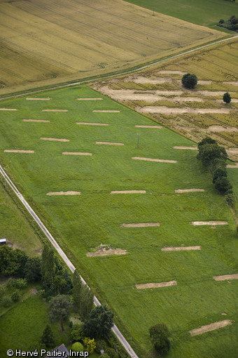 Vue aérienne de tranchées de diagnostic réalisées sur le tracé de la LGV Bretagne - Pays de la Loire à La Milesse (Sarthe) en 2012.