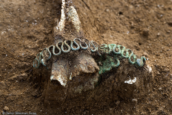 Vue de détail d'un bracelet serpentiforme, IVe s. avant notre ère, Buchères (Aube), 2013.