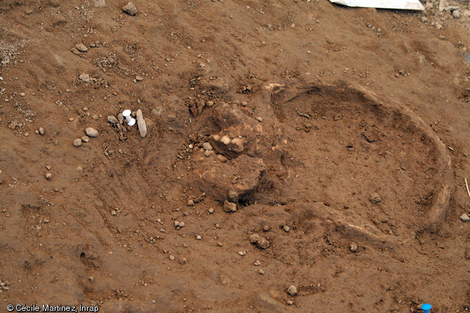Crâne du défunt inhumé dans la tombe épipaléolithique (entre 12 000 et 11 000 avant notre ère) découverte lors de la fouille de la ZAC des Vigneaux à Cuges-les-Pins (Bouches-du-Rhône), 2013.