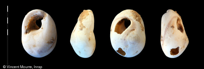 Perle en coquille perforée utilisée pour les parures, longue de 10 mm, probablement de l’espèce Cyclope neritea, découverte dans la tombe épipaléolithique (entre 12 000 et 11 000 avant notre ère), fouille de la ZAC des Vigneaux à Cuges-les-Pins (Bouches-du-Rhône), 2013.