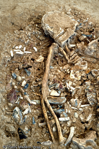 Squelette découvert dans une tombe épipaléolithique (entre 12 000 et 11 000 avant notre ère), lors de la fouille de la ZAC des Vigneaux à Cuges-les-Pins (Bouches-du-Rhône), 2013.Les outils en silex présents dans le comblement de la tombe sont caractéristiques de l’Épigravettien, un faciès culturel présent en Europe méditerranéenne, centrale et orientale à la fin du Paléolithique supérieur.