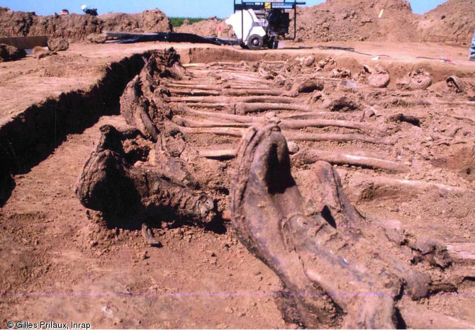 Alignement de brodequins dans la tombe dite des  Grimsby Chums  à Arras (Pas-de-Calais), 2002.Vingts soldats britanniques du 10e bataillon du Lincolnshire Regiment, formé d'hommes originaires du port de Grimsby, ont été enterrés avec le plus grand soin par leurs camarades au printemps 1917 au nord-est d'Arras.    Photo publiée dans l'ouvrage L'archéologie de la Grande Guerre, Y. Desfossés, A. Jacques et G. Prilaux, coll. Fouilles et découvertes. 