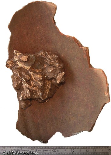Sépulture à dépôt de crémation, période augustéenne, Saint-Marcel (Indre), 2006.L'amas osseux a préalablement été déposé dans un contenant en matériau périssable puis placé dans un fond d'amphore régionale.