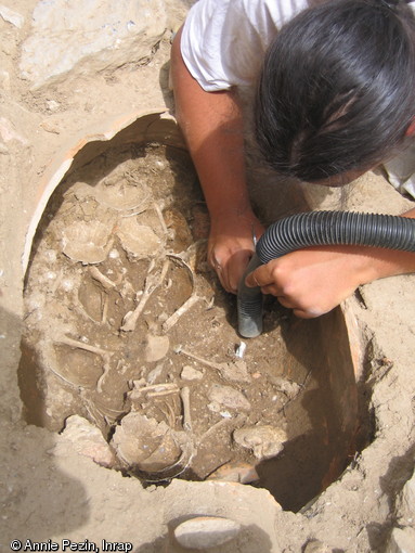 Sépulture en amphore d'un enfant de sept mois environ, Amélie-les-Bains (Pyrénées-Orientales), 2006. Aux pieds du dernier corps inhumé, dont le crâne se trouve au premier plan, les corps de deux autres bébés ont été repoussés. Les os étant très petits, l'archéologue les dégage à l'aide d'un outil de dentiste et aspire la terre en la filtrant, au fur et à mesure de son travail.