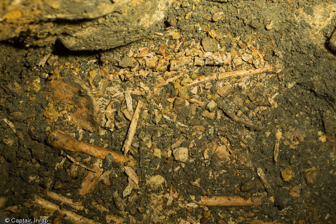 Vue de détail d'un individu reposant sur le côté gauche présentant la colonne vertébrale en connexion avec le bassin et le fémur droit, VIIIe-Xe s., Entrains-sur-Nohain (Nièvre), 2013.Les individus retrouvés au fond du puits sont des hommes, des femmes et des enfants parfois très jeunes.    