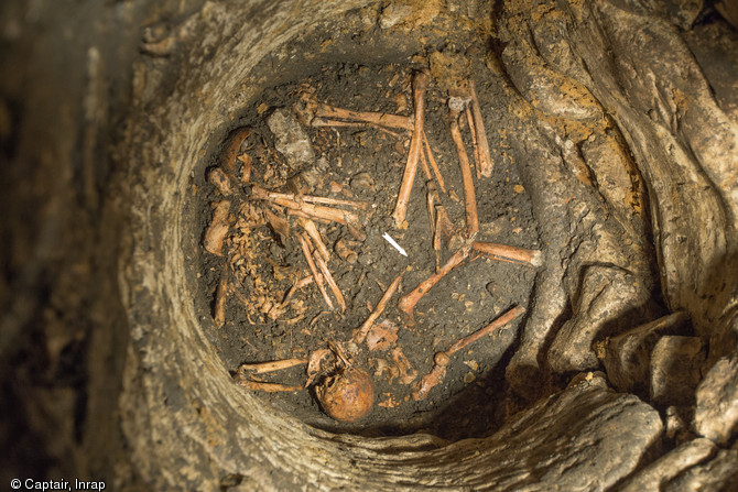 Vue générale d'une passe de décapage avec connexions partielles des membres supérieurs et inférieurs ainsi qu'un crâne et une mandibule, VIIIe-Xe s., Entrains-sur-Nohain (Nièvre), 2013.