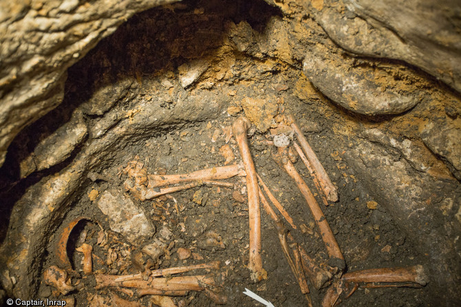 Vue de détail avec plusieurs membres inférieurs en connexion, un crâne et une mandibule, VIIIe-Xe s., Entrains-sur-Nohain (Nièvre), 2013.