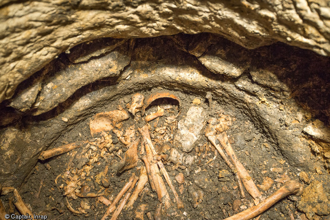 Vue de détail de plusieurs parties anatomiques en connexion notamment des membres inférieurs et supérieurs, des rachis, un bassin, un crâne et une mandibule. Entrains-sur-Nohain (Nièvre), 2013. 
