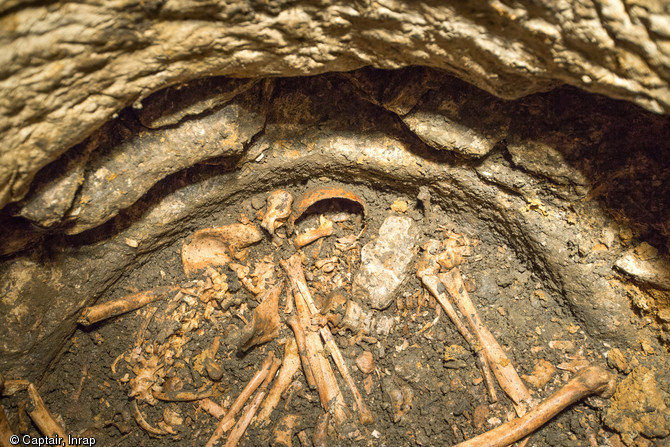 Vue de détail de plusieurs parties anatomiques en connexion notamment des membres inférieurs et supérieurs, des rachis, un bassin, un crâne et une mandibule. Entrains-sur-Nohain (Nièvre), 2013.