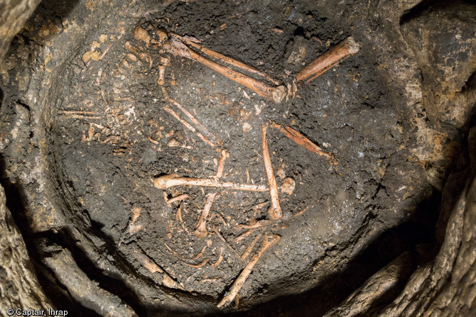 Vue générale de plusieurs éléments anatomiques en connexion - membres inférieurs, rachis et membres supérieurs - d'un jeune individu, VIIIe-Xe s., Entrains-sur-Nohain (Nièvre), 2013.