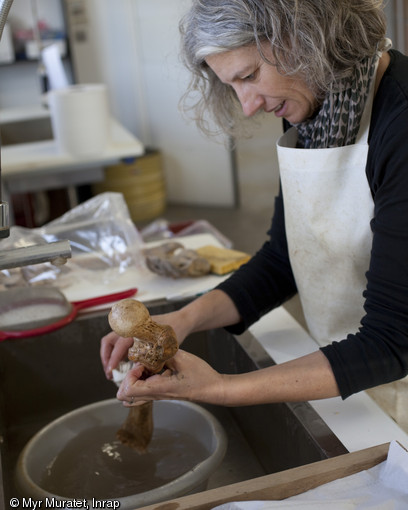 Christine Ronco, archéologue, nettoie des ossements humains, centre Inrap de Valence (Drôme), 2013.