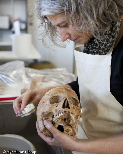 Nettoyage d'un crâne, centre Inrap de Valence (Drôme), 2013.